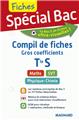 "2017 SPECIAL BAC COMPIL DE FICHES ""GROS COEFF"" TERM S"