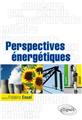 Perspectives energetiques gaz petrole nucleaire biocarburants