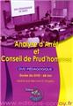 ANALYSE D´ARRET ET CONSEIL DE PRUD´HOMME - DVD-ROM  