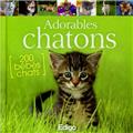 ADORABLES CHATONS. 200 BEBES CHATS.