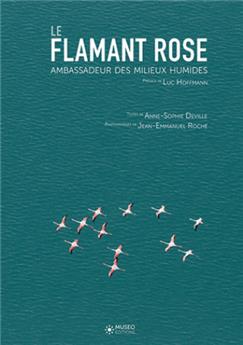 Flamant rose, ambassadeur des milieux humides (Le)