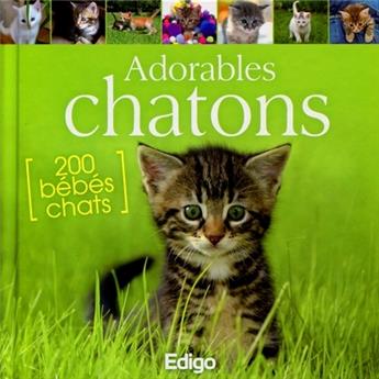 ADORABLES CHATONS. 200 BEBES CHATS.  